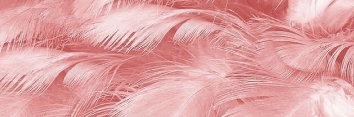 Mermaid06a's profile banner image