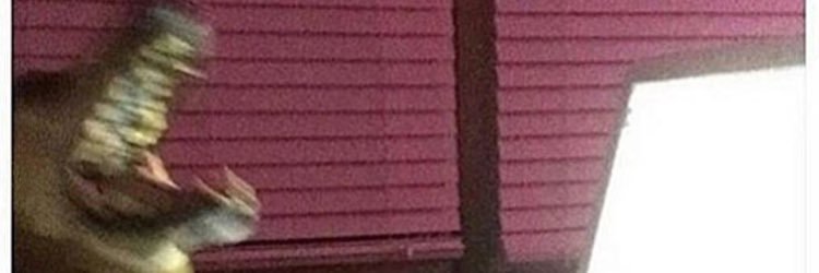 tapto3's profile banner image