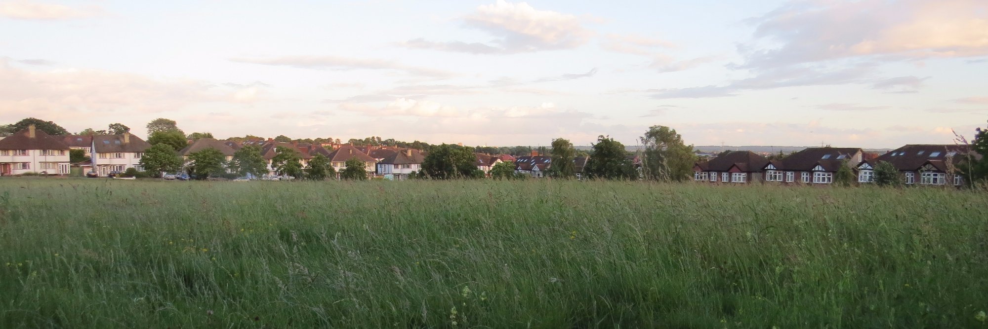 jermcd banner