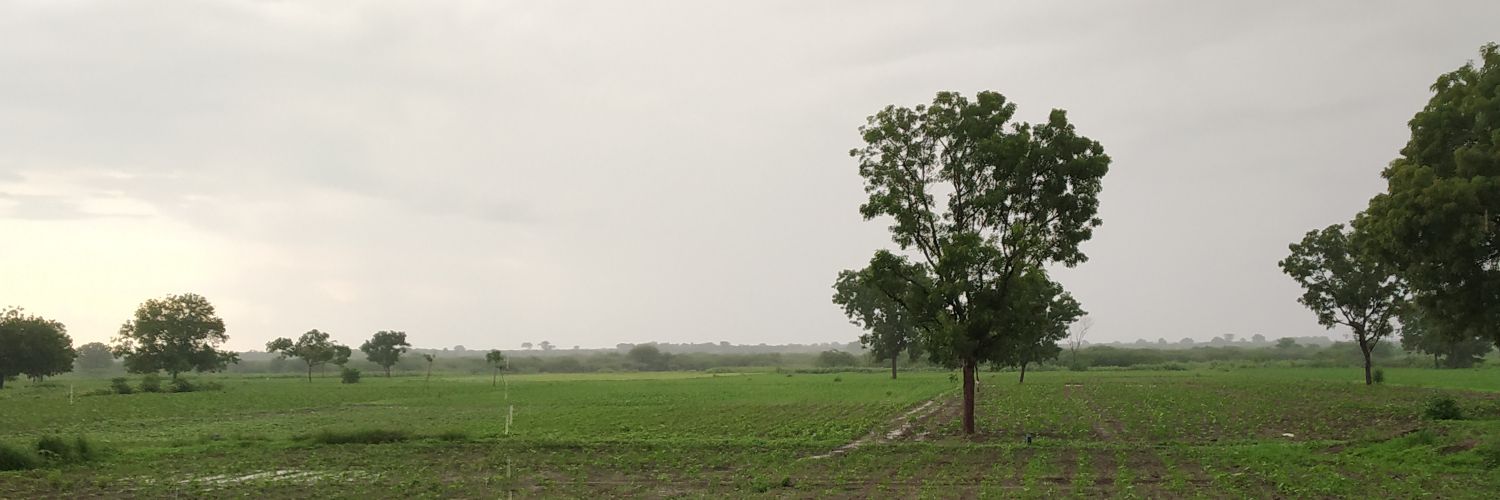jarilak's profile banner image