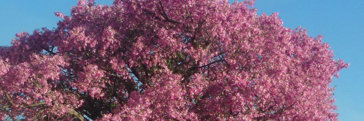 Aaron44507882's profile banner image