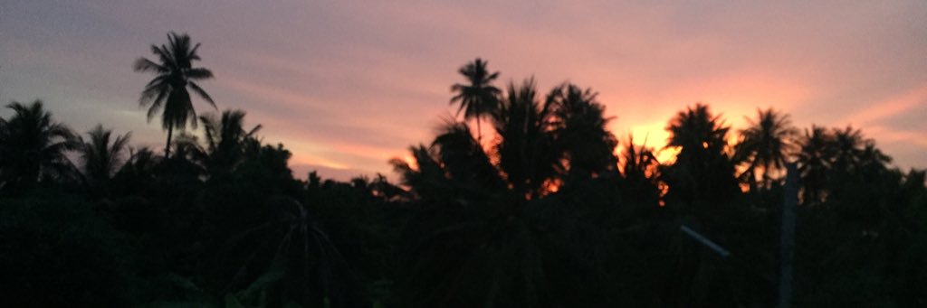 wRmInT's profile banner image