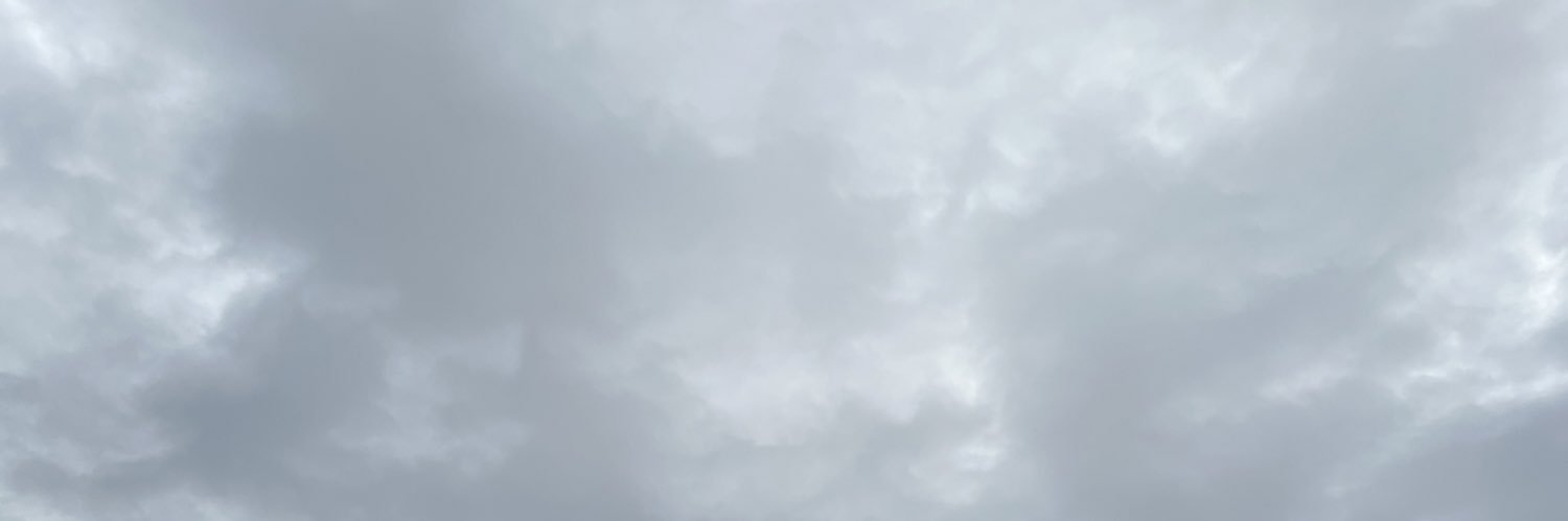 alliahvng's profile banner image