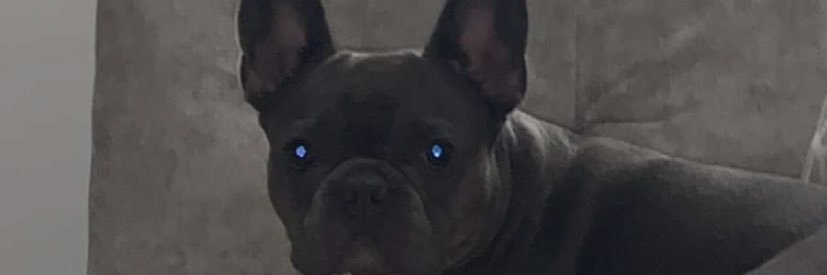 DanJones567's profile banner image