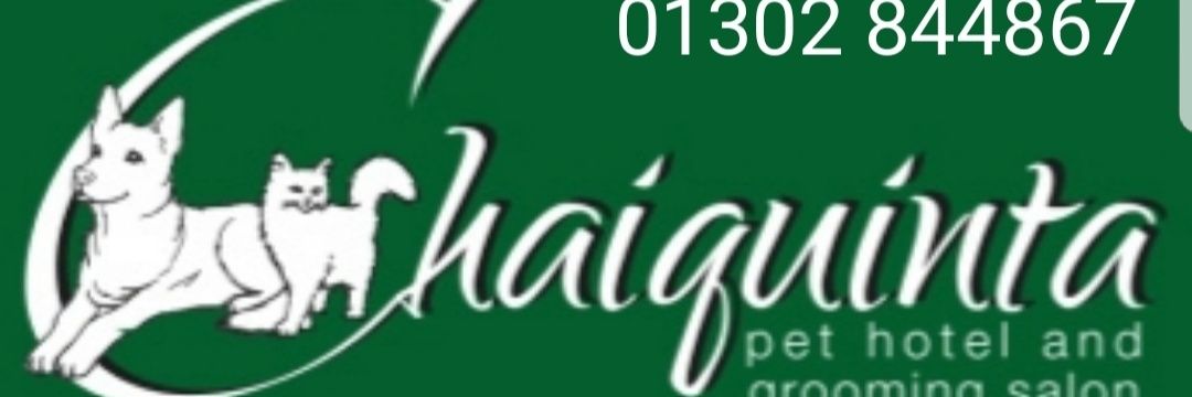 ChaiquintaPets's profile banner image