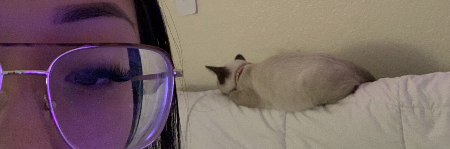 𝖘 𝖊 𝖉 𝖚 𝖟 𝖆 🐍🐱 banner