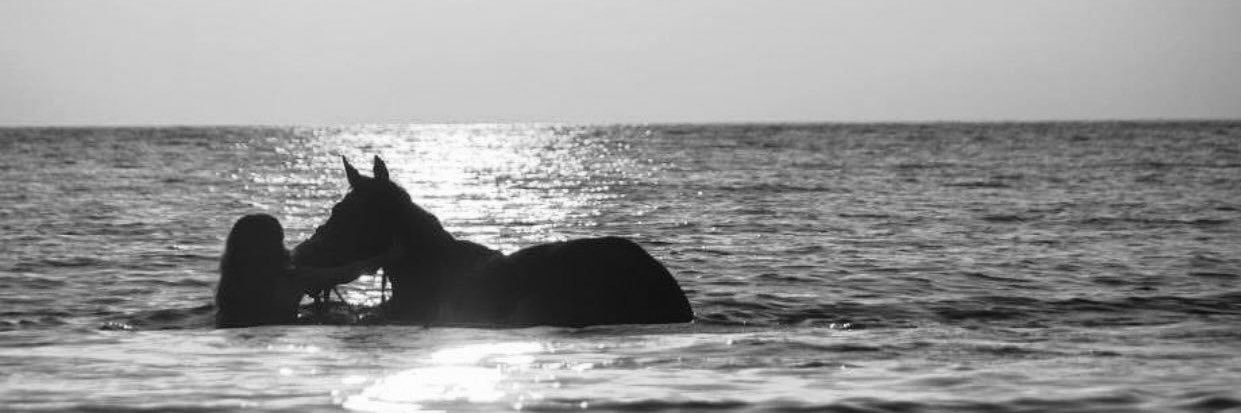ihaaaq's profile banner image