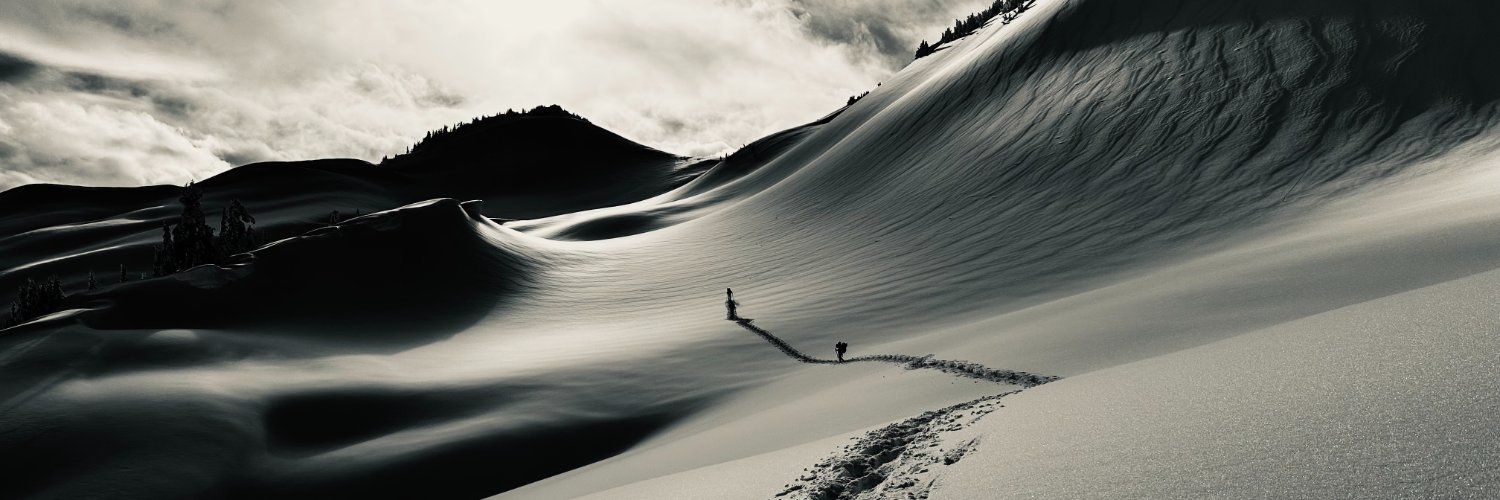 cryopolitics's profile banner image