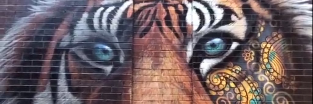 algirdas_13's profile banner image