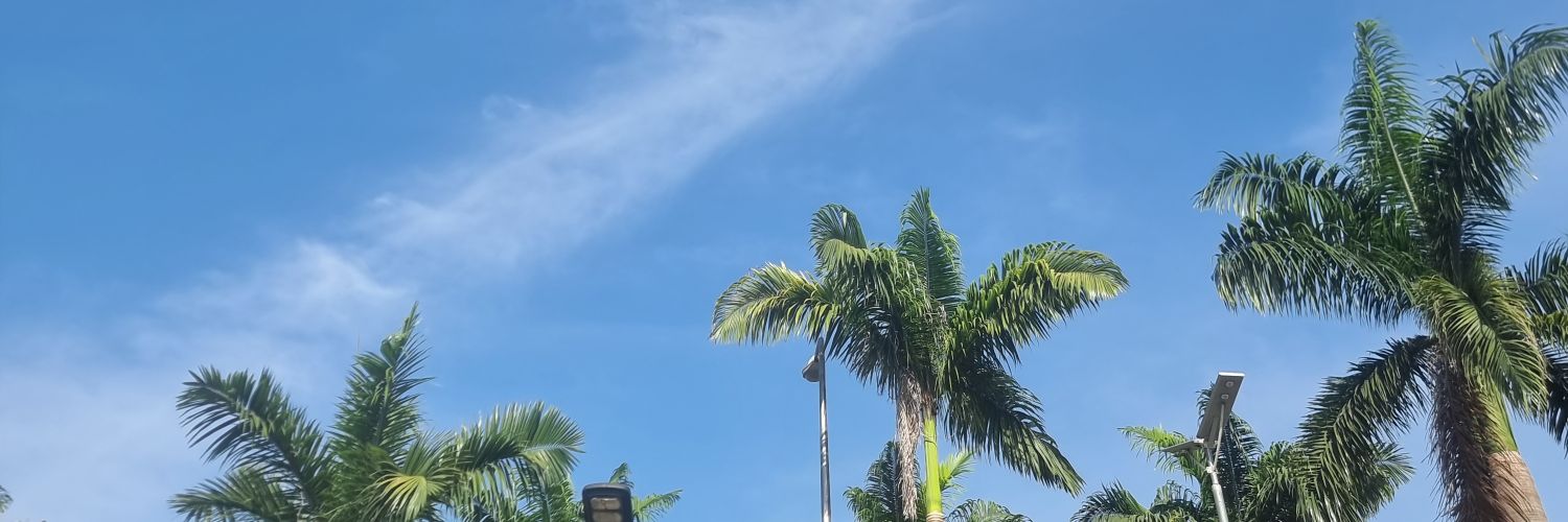 dtwax's profile banner image