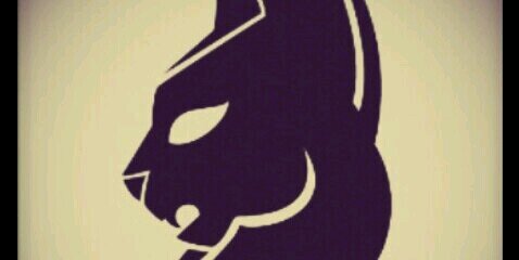 BotielPuma's profile banner image