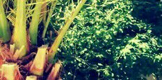 Anibalruizz's profile banner image
