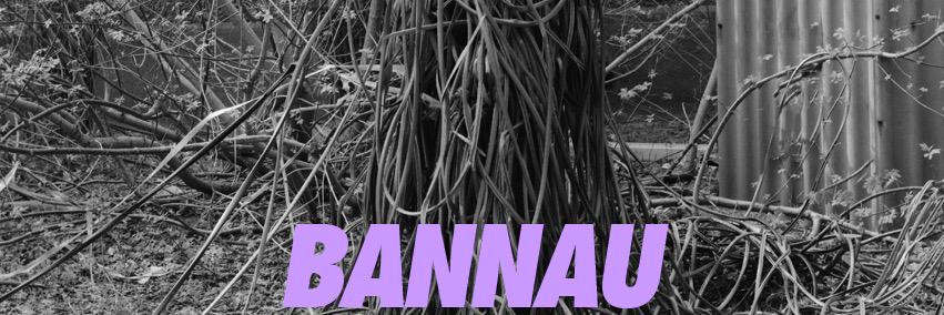 Jamie Thomas banner
