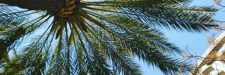 Ze_nanna's profile banner image
