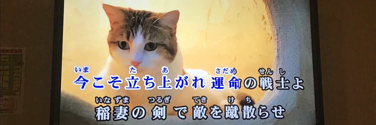 495years1's profile banner image