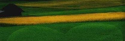 solomom banner