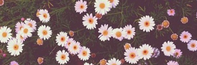 natalieboyd__'s profile banner image