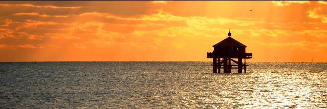 Nikko 🇦🇲 💹🧲 banner