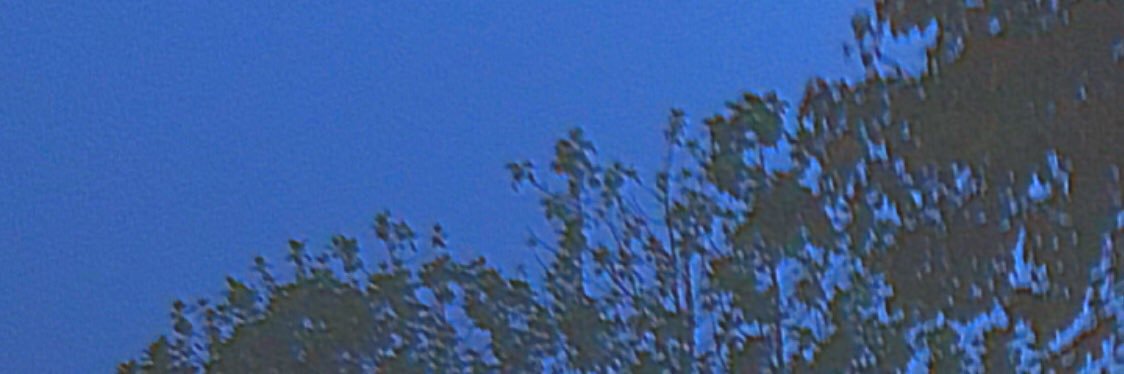 Kyaaaaaaaang's profile banner image
