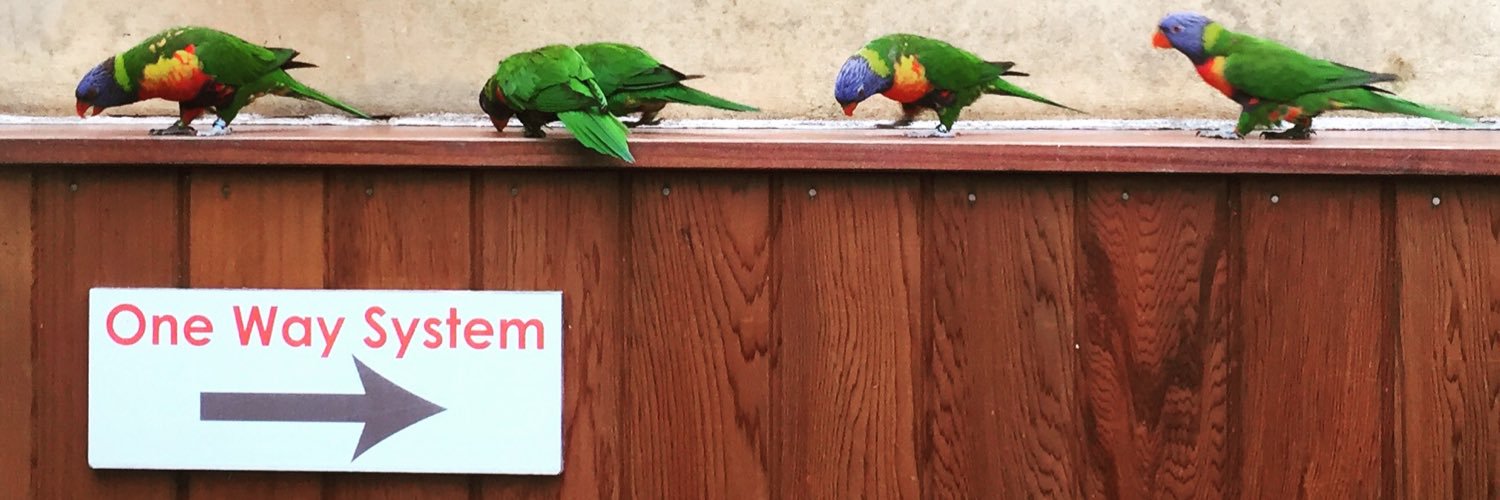 lightningstarr banner