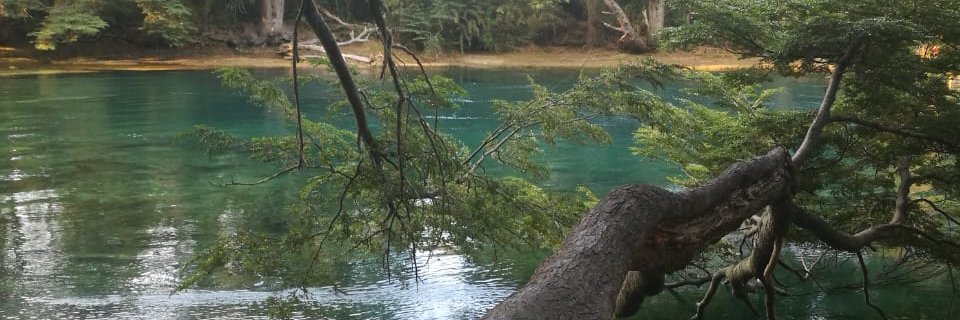 FranPerez__'s profile banner image