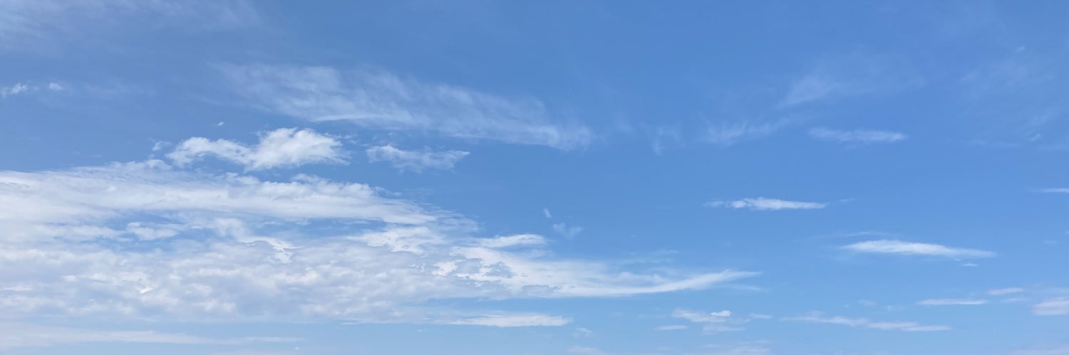 mocomocomaro's profile banner image