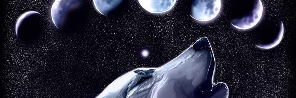 AndroOMeedAA's profile banner image