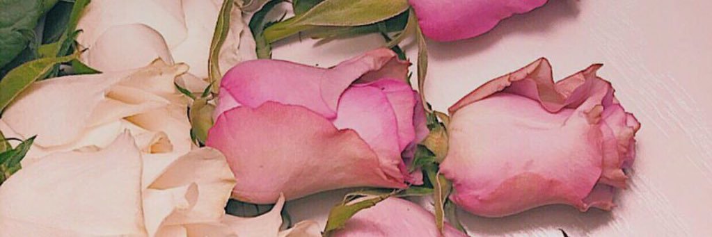 RnSoso's profile banner image