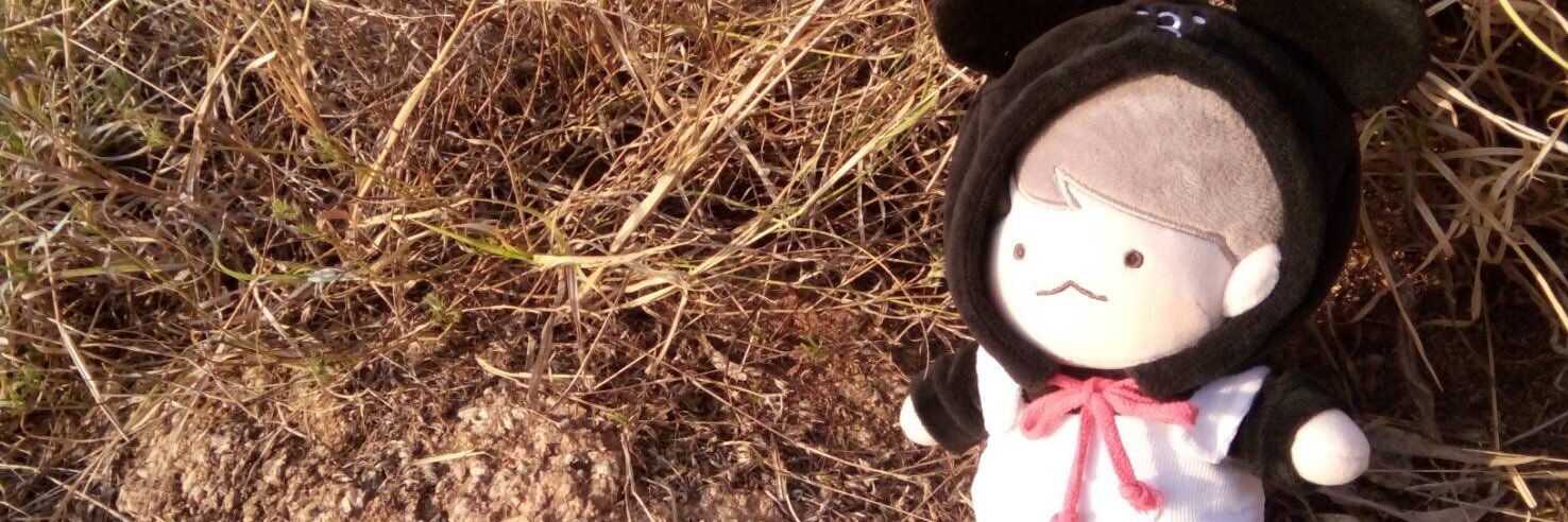 _mayholy_'s profile banner image