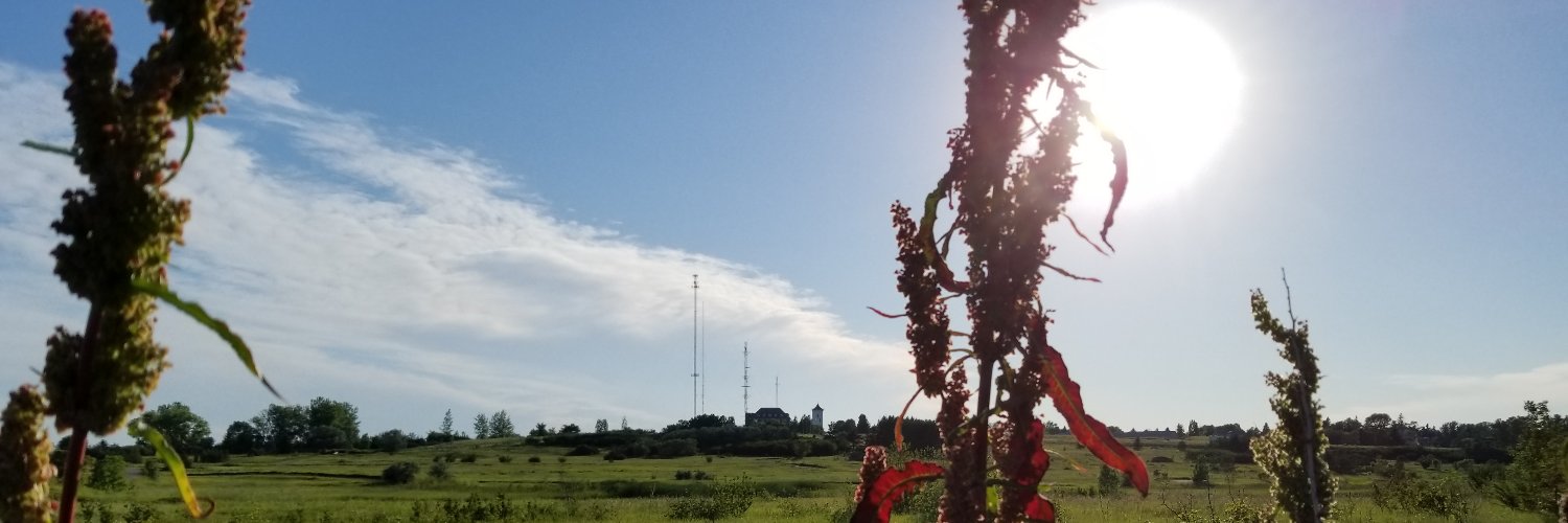 RyanWJanke's profile banner image