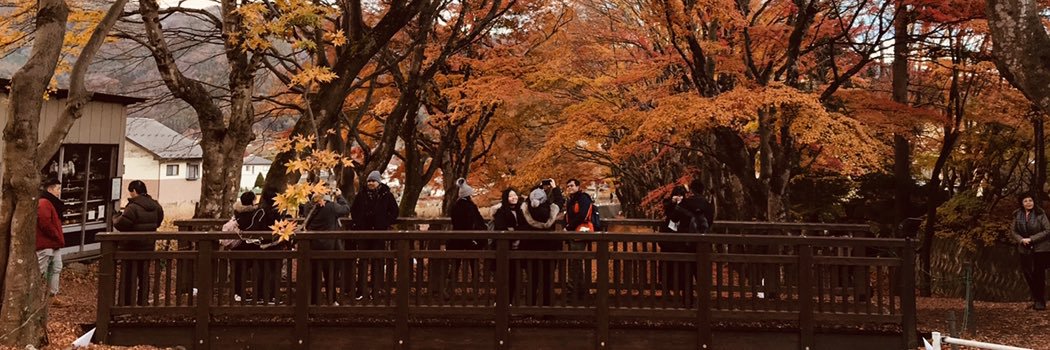 jsdo852's profile banner image