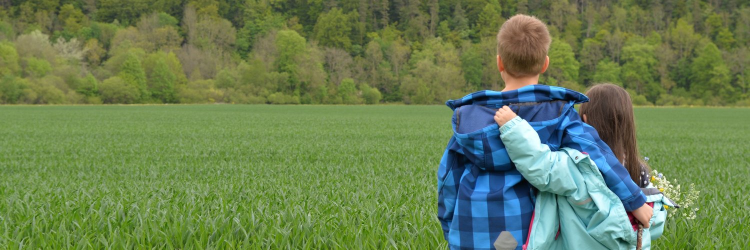 ecolonies's profile banner image