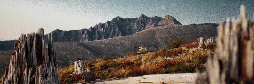 noahwonders's profile banner image