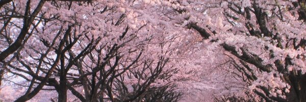 AlevilInChains Profile Banner