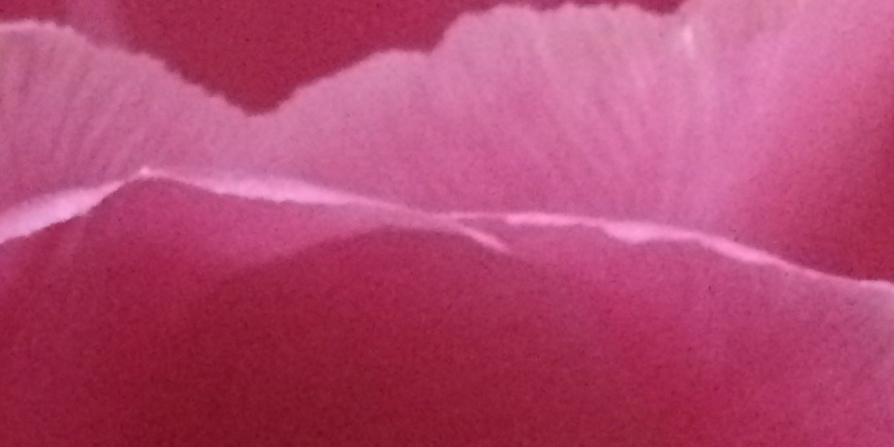 Anitafragaat's profile banner image