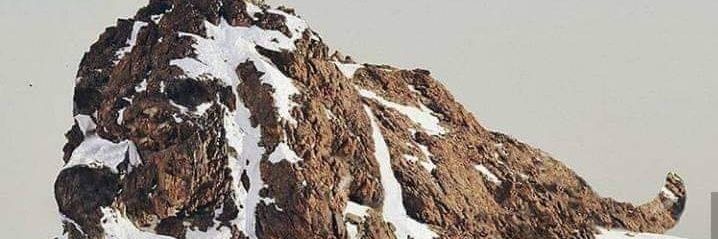 patrick_mutai's profile banner image