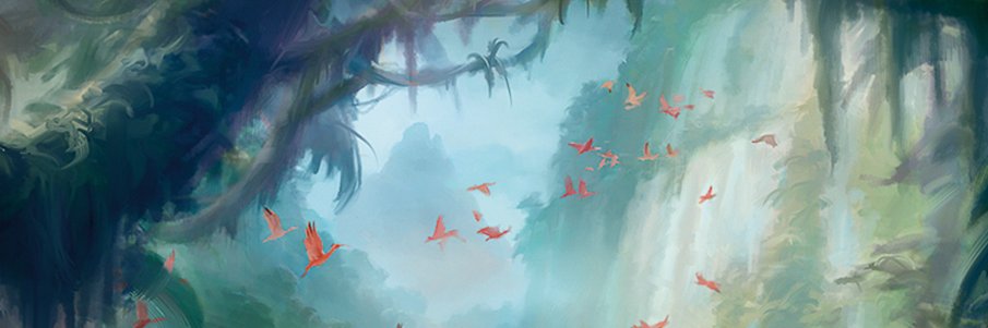 TropicalAce's profile banner image