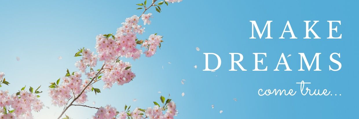 HamisShimye's profile banner image