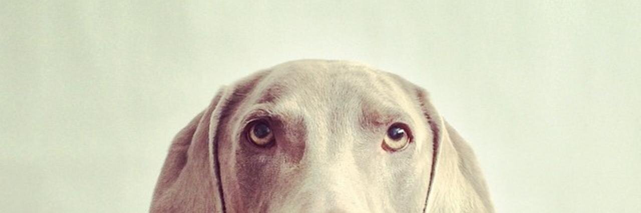 Nishant Kothary banner