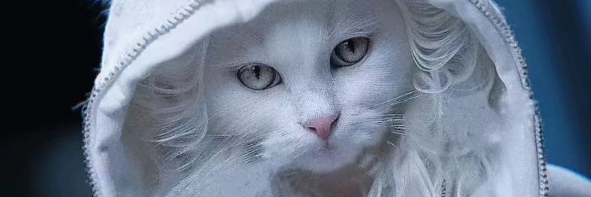 charlesshue2's profile banner image