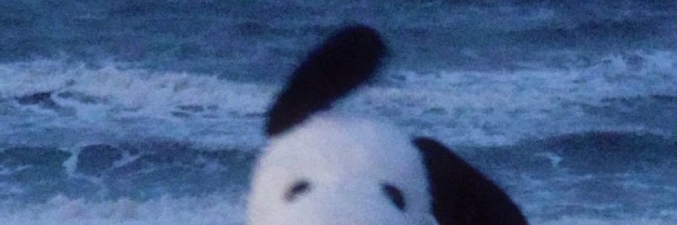 Mardzcab 🐼 banner