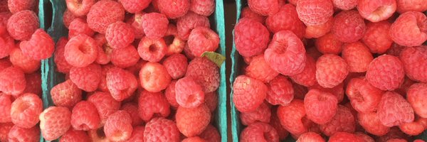 ecbfm Profile Banner