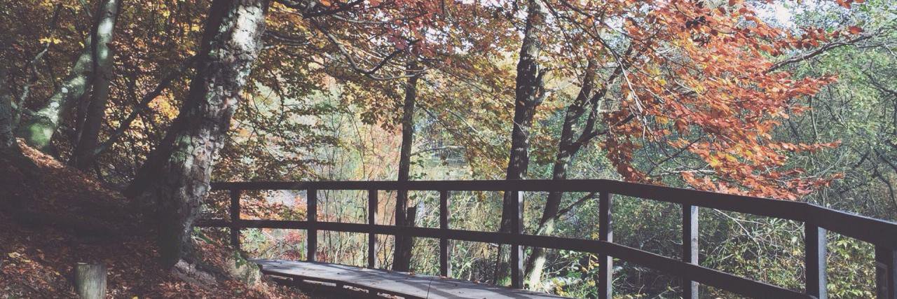 EmmaTaylor__'s profile banner image