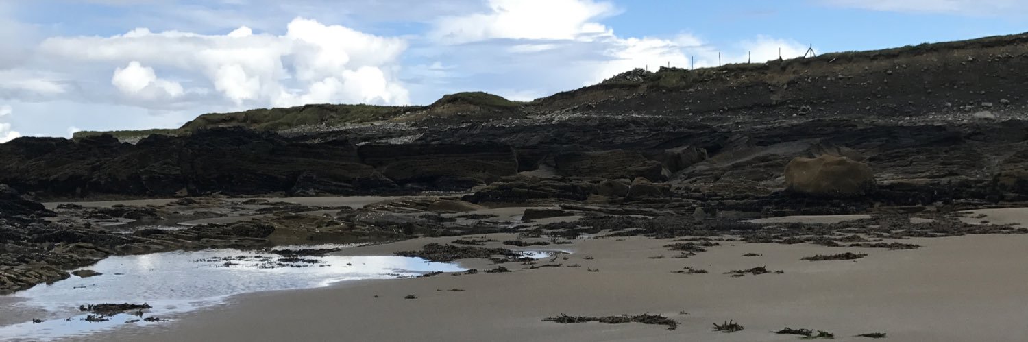 Sharon Cousins banner