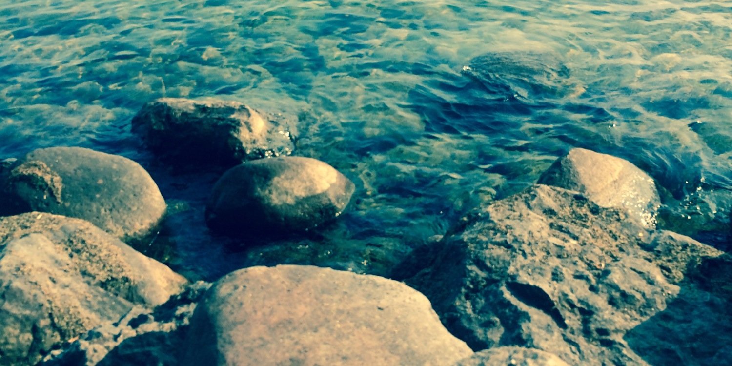 SarahTHassler's profile banner image