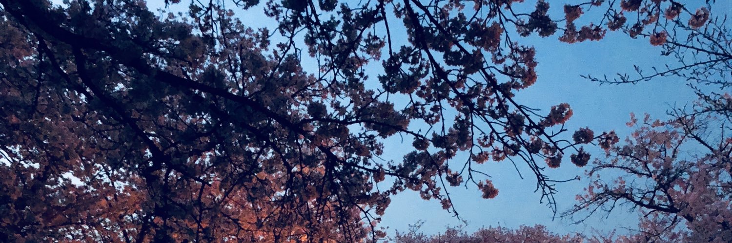 HumanandAssets's profile banner image