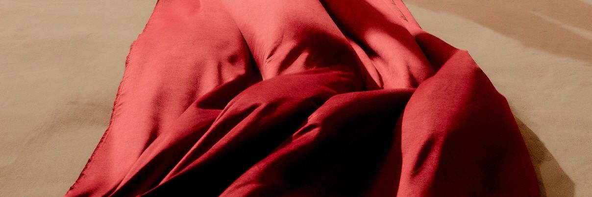 zegui_elle's profile banner image