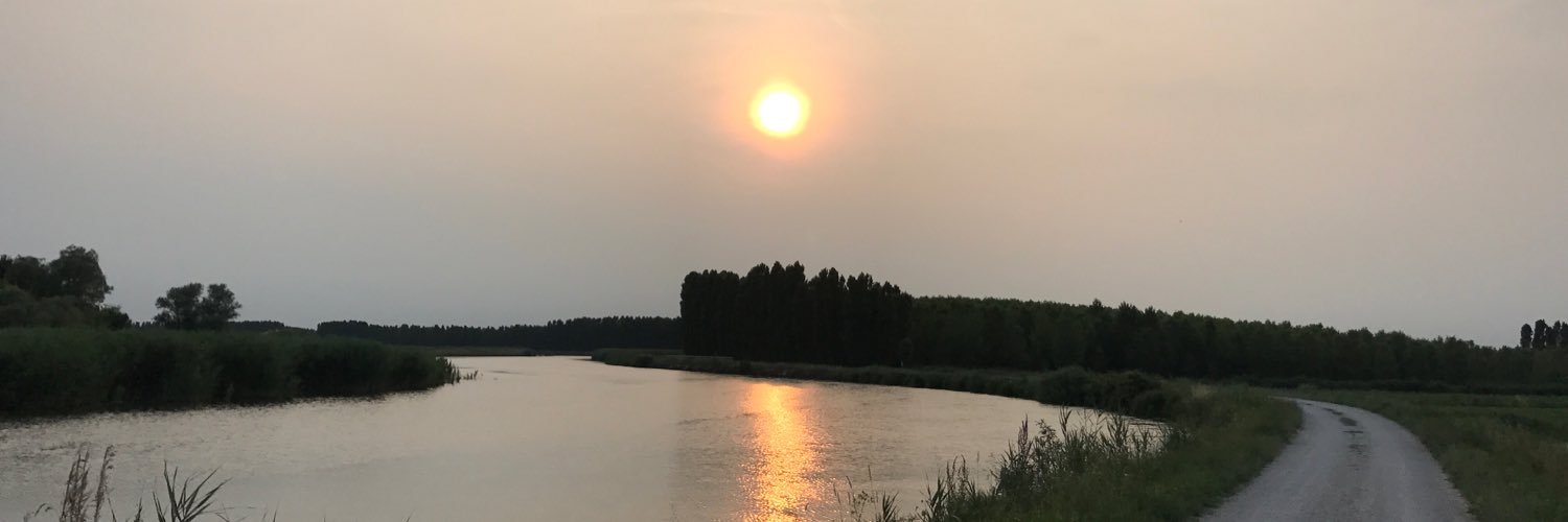 DrZoffoli's profile banner image