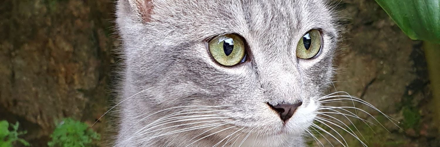 12Leny's profile banner image