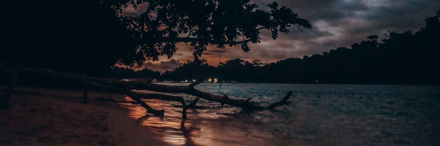 wispssus's profile banner image
